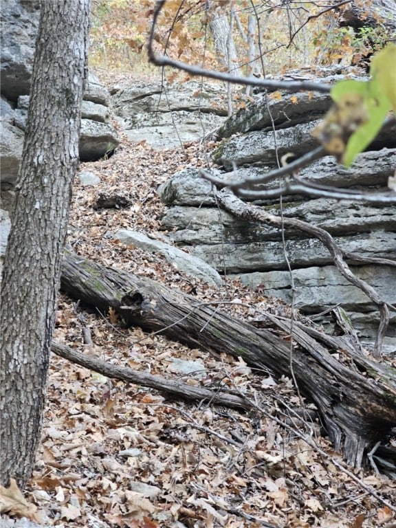 TBD Ventris Rd, Garfield, AR 72732 - photo 22