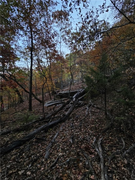 TBD Ventris Rd, Garfield, AR 72732 - photo 23