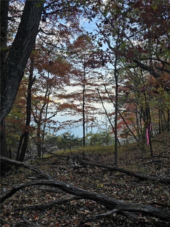TBD Ventris Rd, Garfield, AR 72732 - photo 24