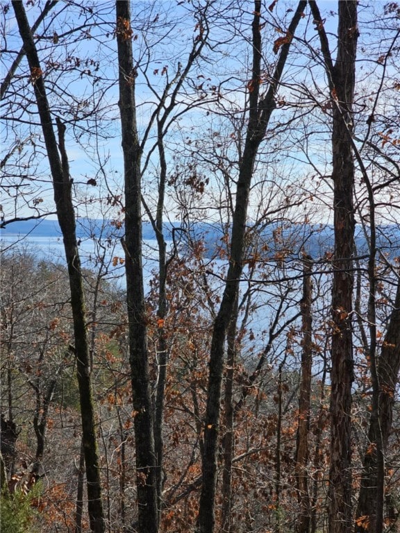 TBD Ventris Rd, Garfield, AR 72732 - photo 43