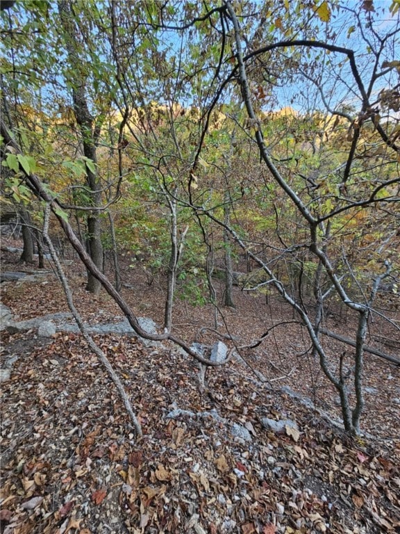 TBD Ventris Rd, Garfield, AR 72732 - photo 26