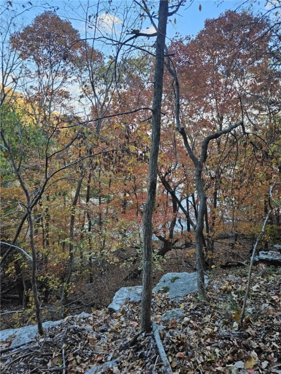 TBD Ventris Rd, Garfield, AR 72732 - photo 28
