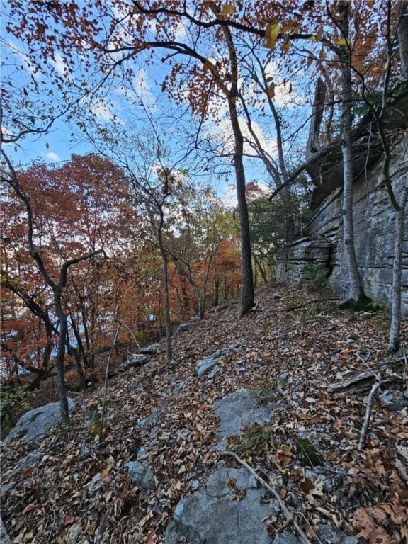 TBD Ventris Rd, Garfield, AR 72732 - photo 31
