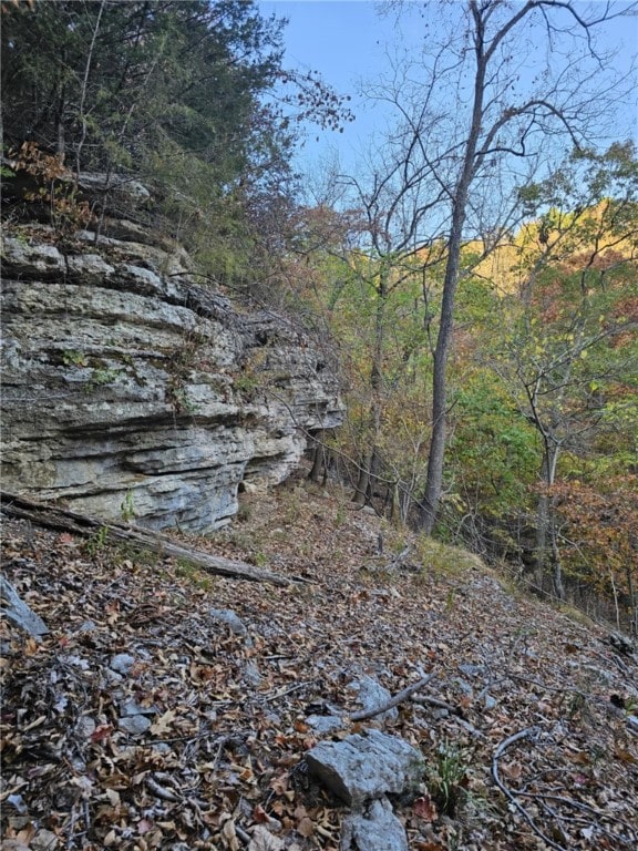 TBD Ventris Rd, Garfield, AR 72732 - photo 32