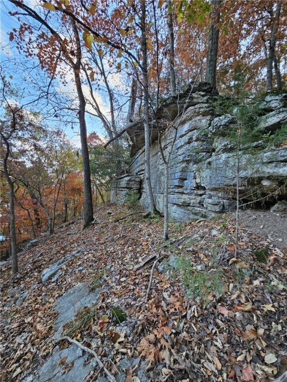 TBD Ventris Rd, Garfield, AR 72732 - photo 33