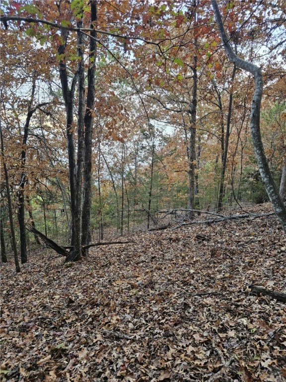 TBD Ventris Rd, Garfield, AR 72732 - photo 35