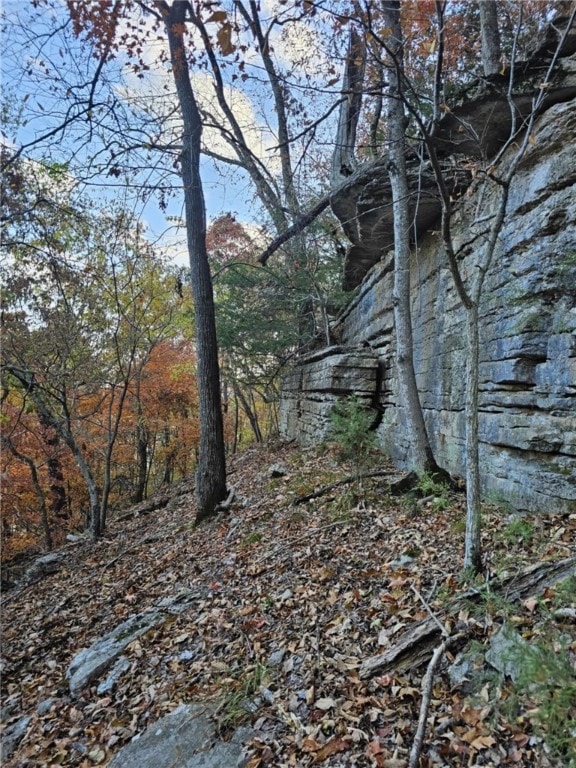 TBD Ventris Rd, Garfield, AR 72732 - photo 36