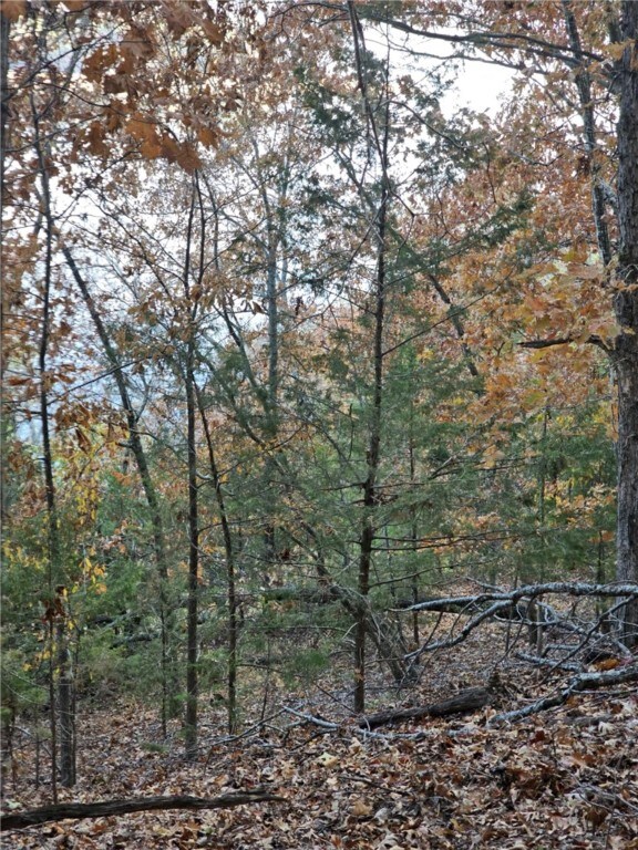 TBD Ventris Rd, Garfield, AR 72732 - photo 37