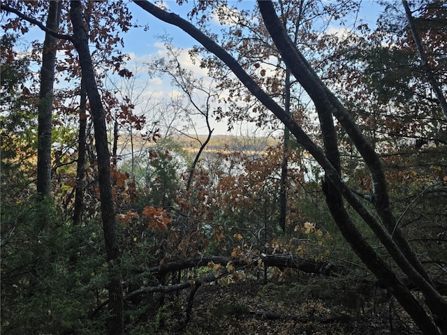TBD Ventris Rd, Garfield, AR 72732 - photo 38