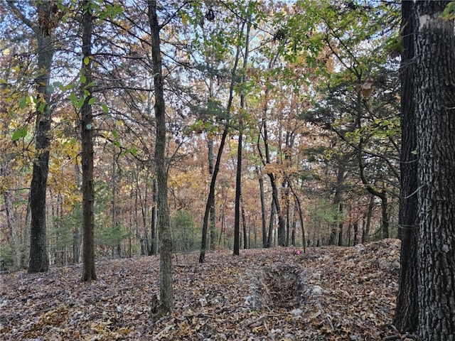 TBD Ventris Rd, Garfield, AR 72732 - photo 39
