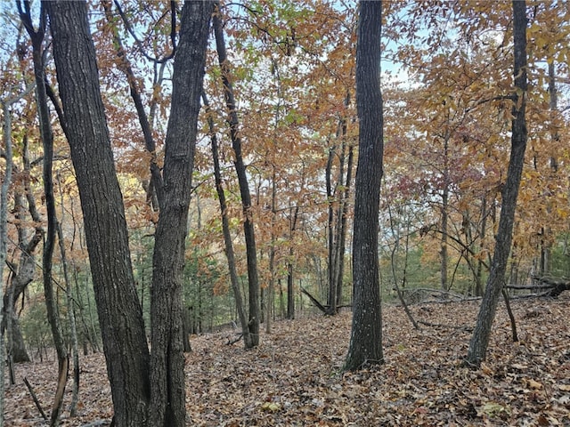 TBD Ventris Rd, Garfield, AR 72732 - photo 40