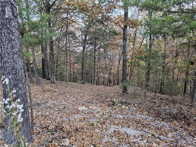 TBD Ventris Rd, Garfield, AR 72732 - photo 41