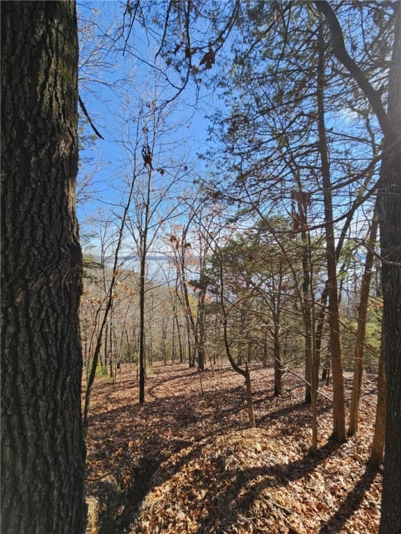 TBD Ventris Rd, Garfield, AR 72732 - photo 42