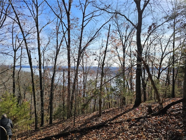 TBD Ventris Rd, Garfield, AR 72732 - photo 3