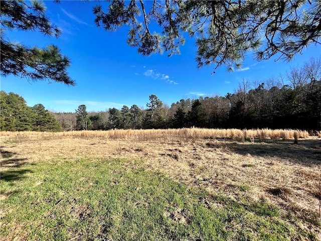 124 Oxley Rd, Leslie, AR 72645 - photo 17