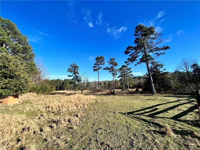 124 Oxley Rd, Leslie, AR 72645 - photo 21