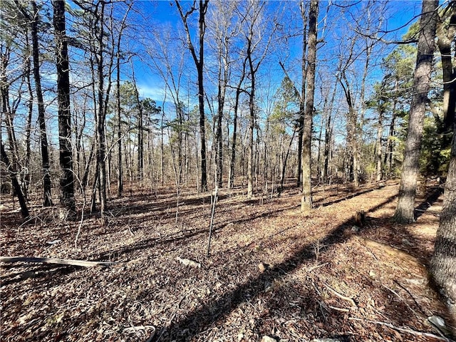 124 Oxley Rd, Leslie, AR 72645 - photo 22