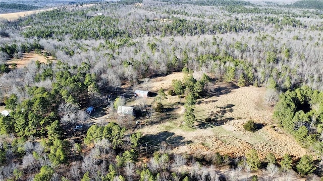 124 Oxley Rd, Leslie, AR 72645 - photo 2