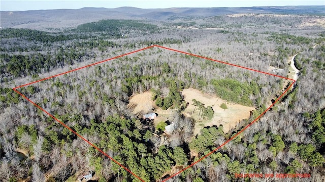 124 Oxley Rd, Leslie, AR 72645 - photo 4