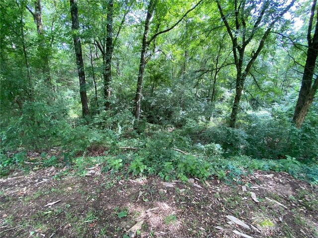 277 Crk Unit 3576, Clarksville, AR 72830 - photo 27