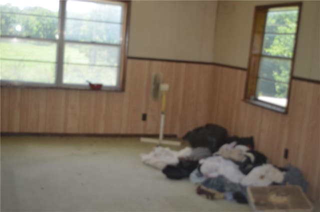 24128 Honey Creek Rd, Sulphur Springs, AR 72768 - photo 4