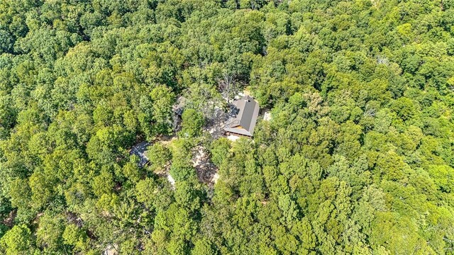 170 Meadow Ridge Rd, Eureka Springs, AR 72632 - photo 29