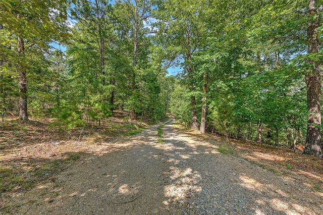 170 Meadow Ridge Rd, Eureka Springs, AR 72632 - photo 4