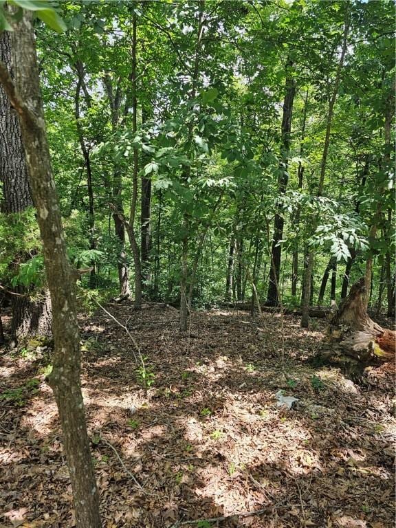 Blueberry Ln, Lowell, AR 72745 - photo 1