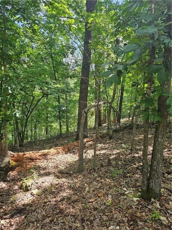 Blueberry Ln, Lowell, AR 72745 - photo 2