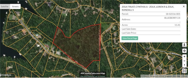 Blueberry Ln, Lowell, AR 72745 - photo 3