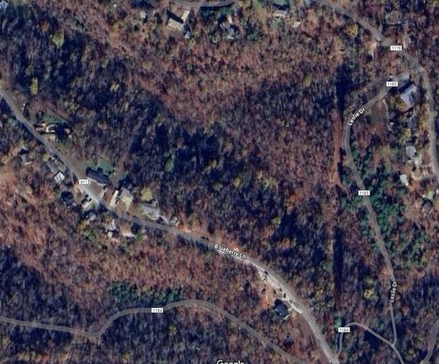Blueberry Ln, Lowell, AR 72745 - photo 5