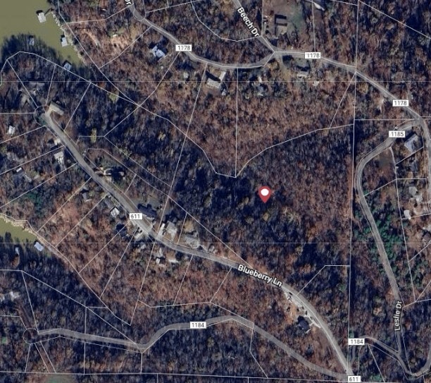 Blueberry Ln, Lowell, AR 72745 - photo 8