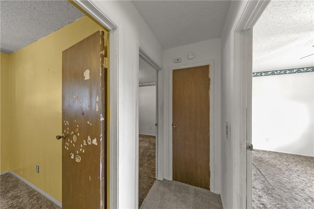 904 13th Pl, Rogers, AR 72756 - photo 8
