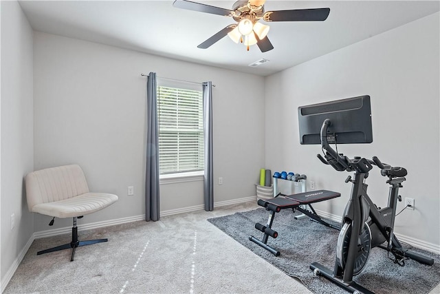 4407 SW Bison St, Bentonville, AR 72713 - photo 24