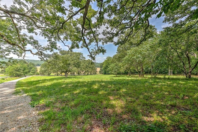 5794 S Shaeffer Rd, Fayetteville, AR 72701 - photo 37