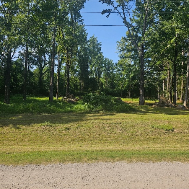 2824 Damask Ln, Alma, AR 72921 - photo 10