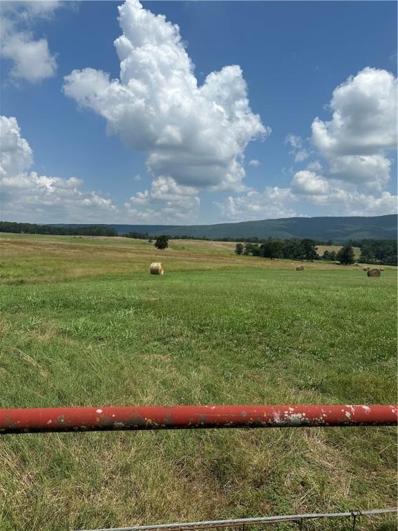 Pine, Hector, AR 72843 - photo 4