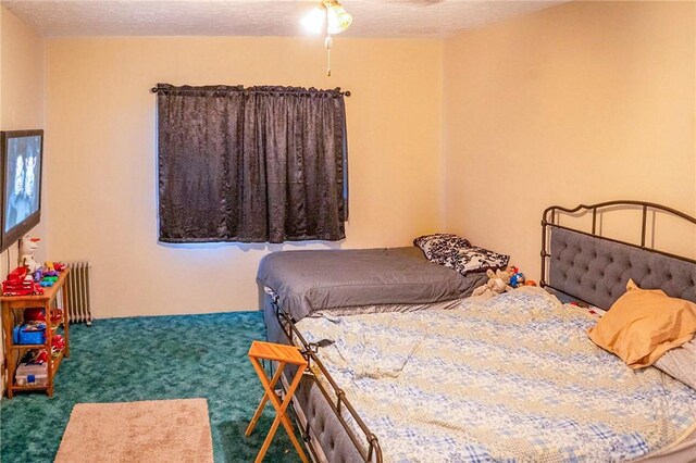 309 Crownover St, Gassville, AR 72635 - photo 8