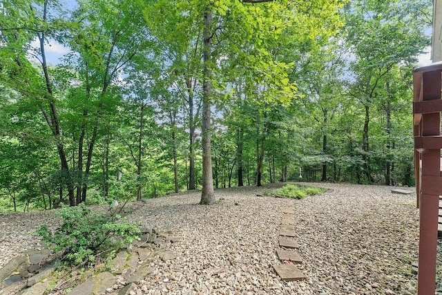 17 Fenchurch Dr, Bella Vista, AR 72715 - photo 32