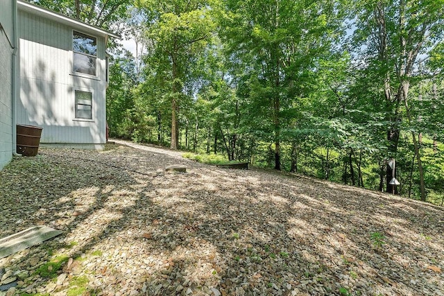 17 Fenchurch Dr, Bella Vista, AR 72715 - photo 35