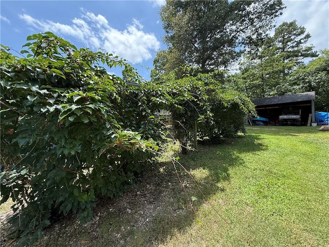 4585 County Road 560, Berryville, AR 72616 - photo 36