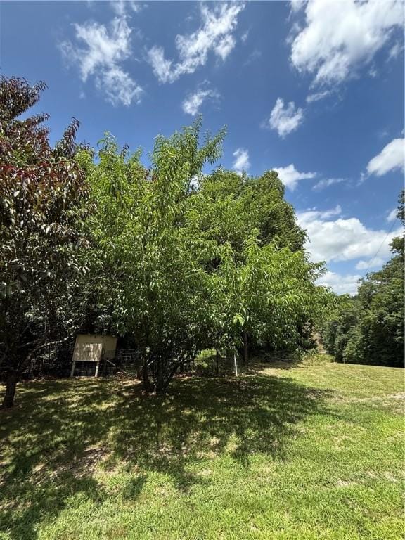 4585 County Road 560, Berryville, AR 72616 - photo 37