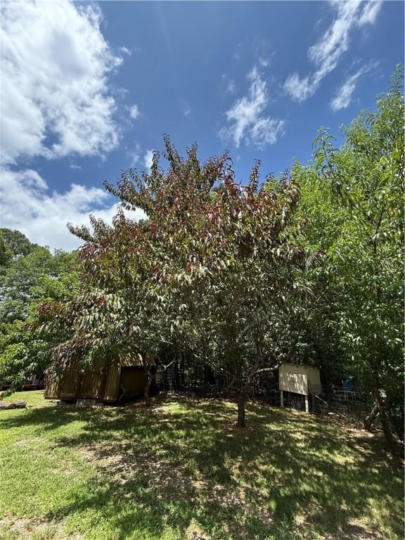 4585 County Road 560, Berryville, AR 72616 - photo 39