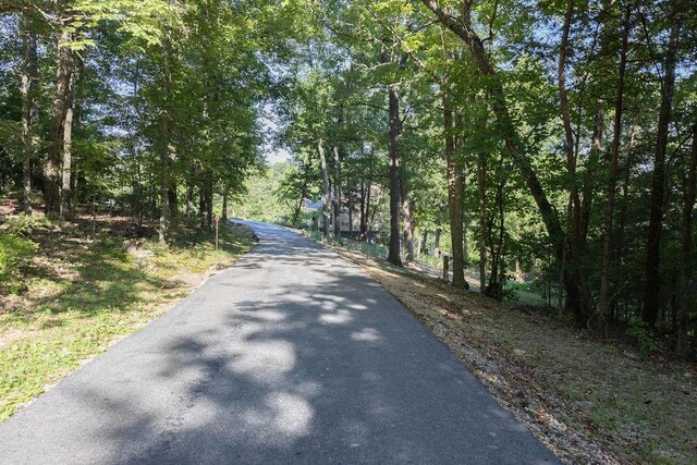 99 Anchor Ct, Midway, AR 72651 - photo 37