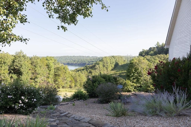99 Anchor Ct, Midway, AR 72651 - photo 44