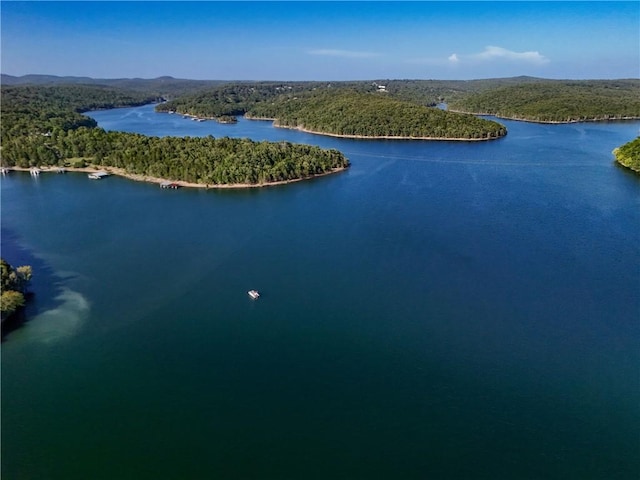 845 Hickory Flats Ln, Lakeview, AR 72642 - photo 40
