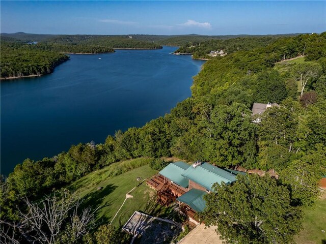 845 Hickory Flats Ln, Lakeview, AR 72642 - photo 42