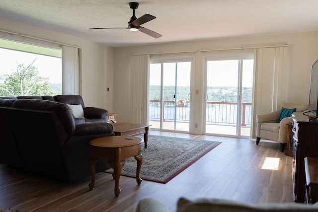 845 Hickory Flats Ln, Lakeview, AR 72642 - photo 4