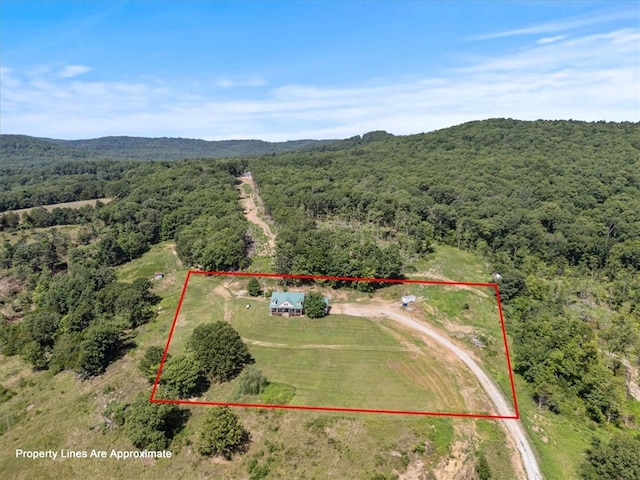 1659 Madison Unit 6601, Huntsville, AR 72740 - photo 6