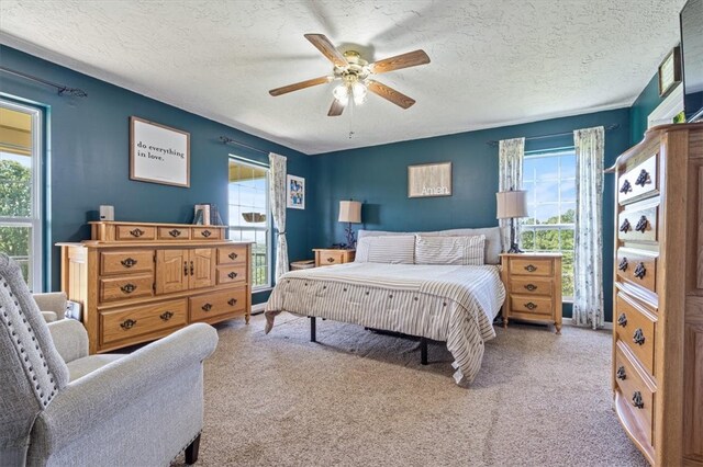 1659 Madison Unit 6601, Huntsville, AR 72740 - photo 7